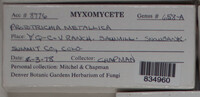 Image Associated With the Occurence